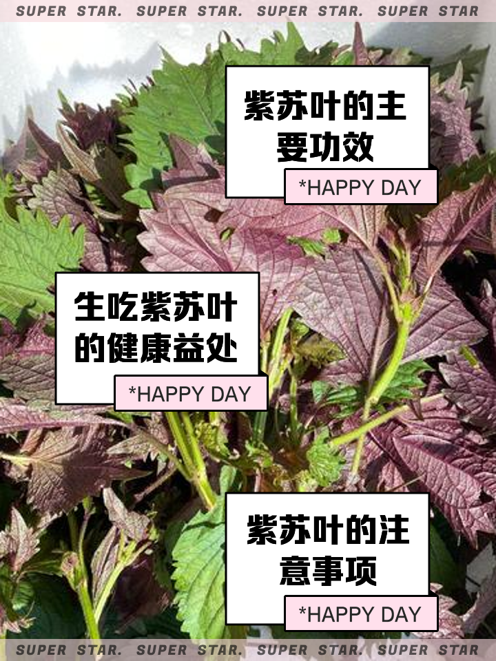 2026年1月6日 第16页