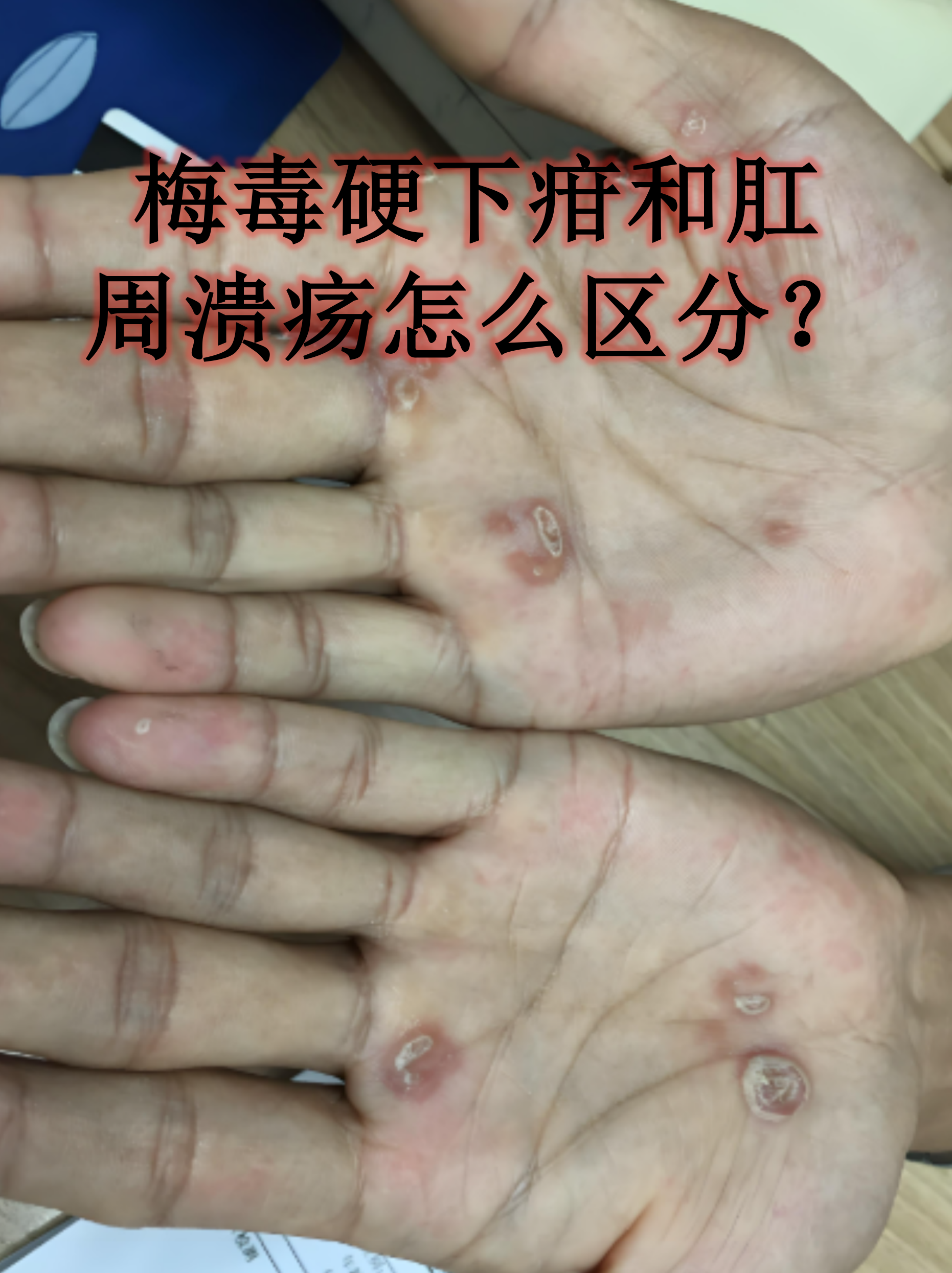 2026年1月6日 第12页