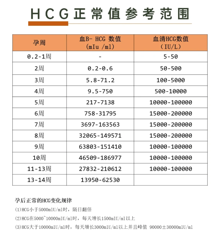 血清人绒毛膜促性腺激素正常值