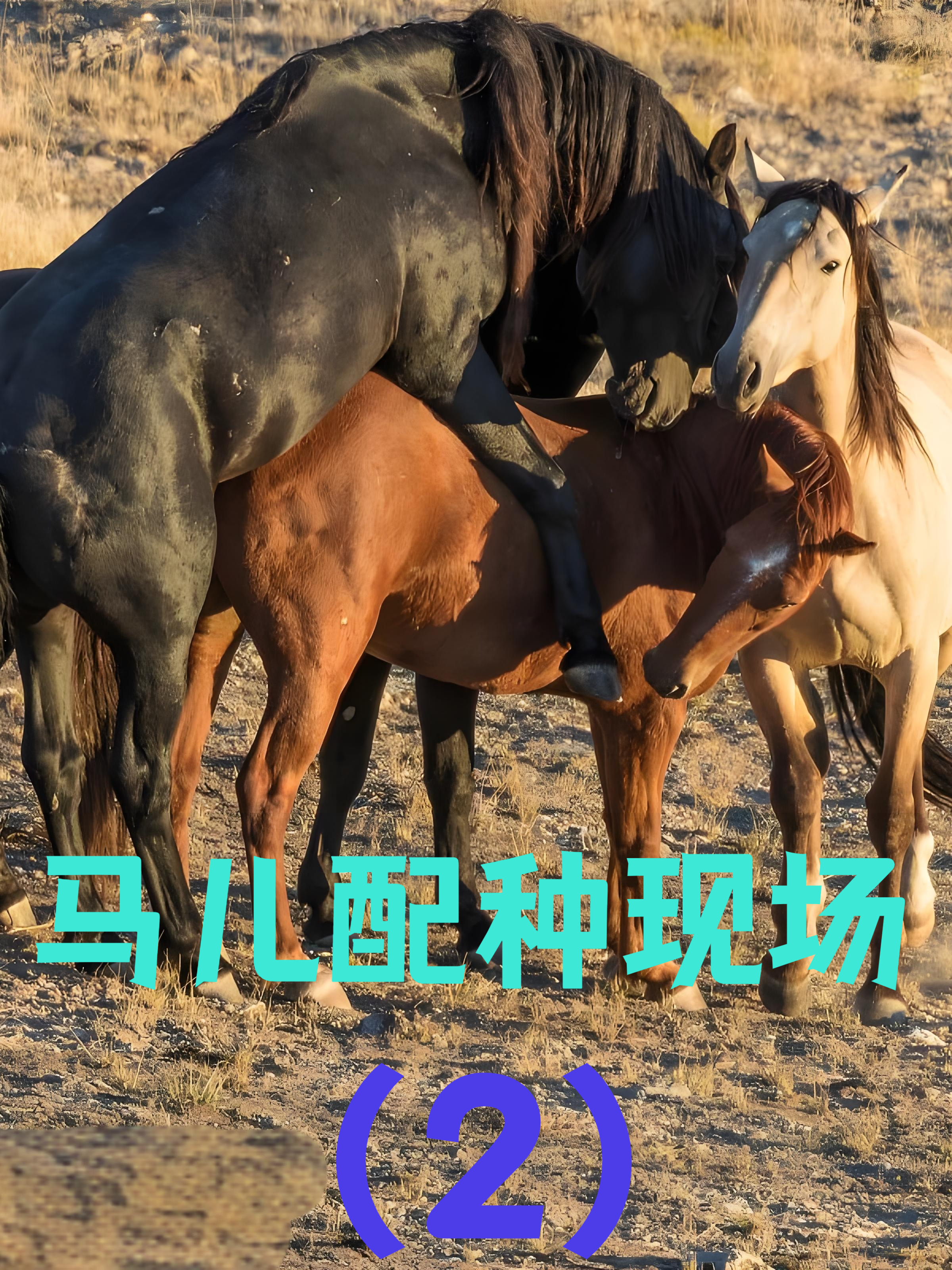 2026年1月6日 第7页