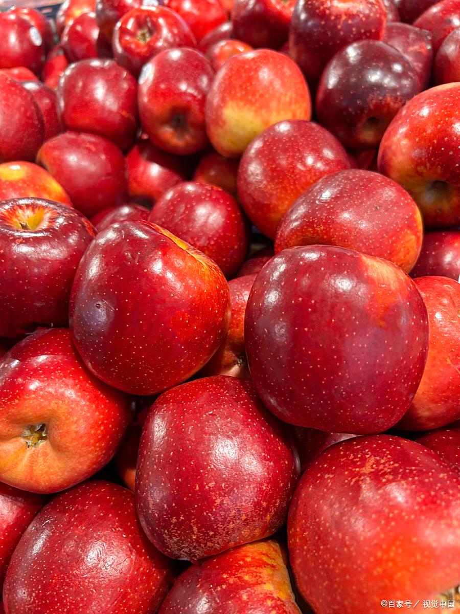 减肥吃什么水果比较适合