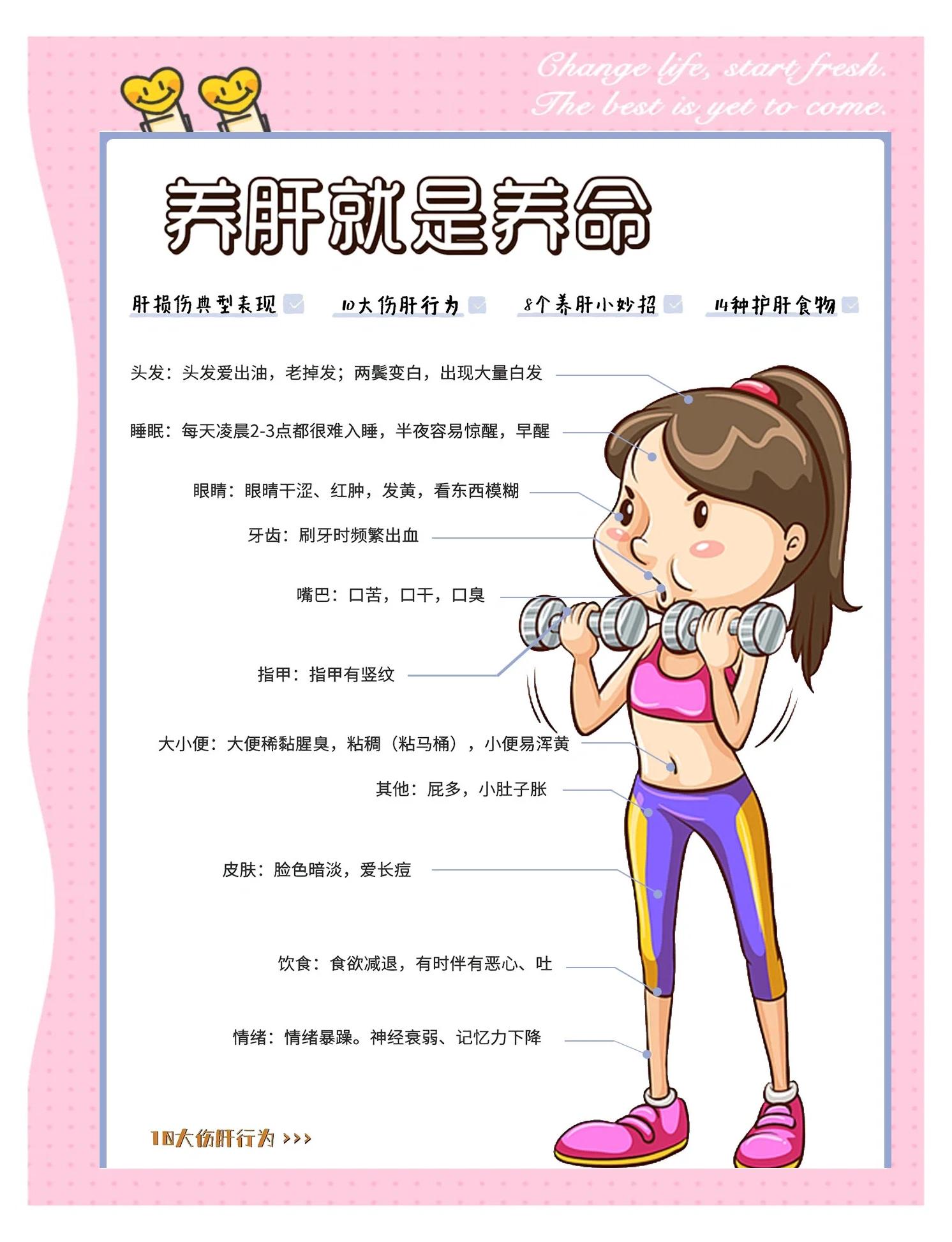 肝的作用是干什么?