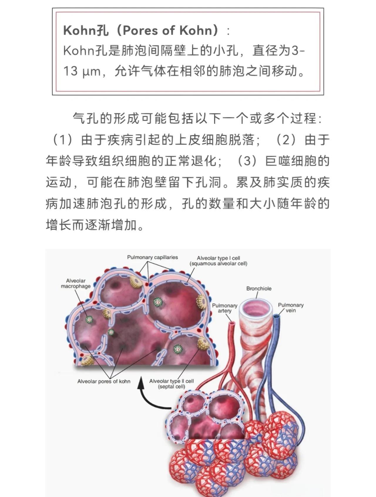肺大泡治疗的最好方法
