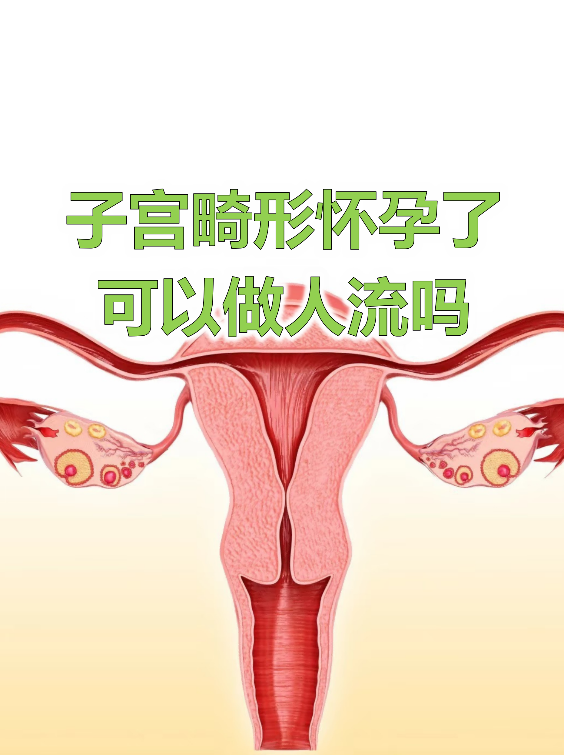 2026年1月7日 第43页