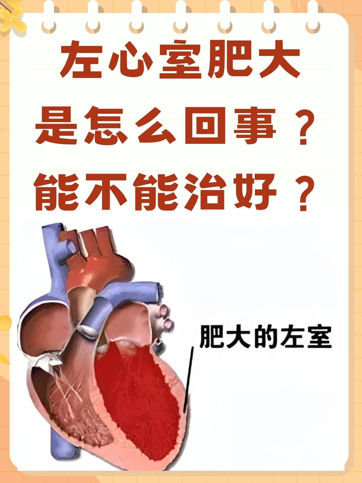 左室舒张功能减低是怎么回事