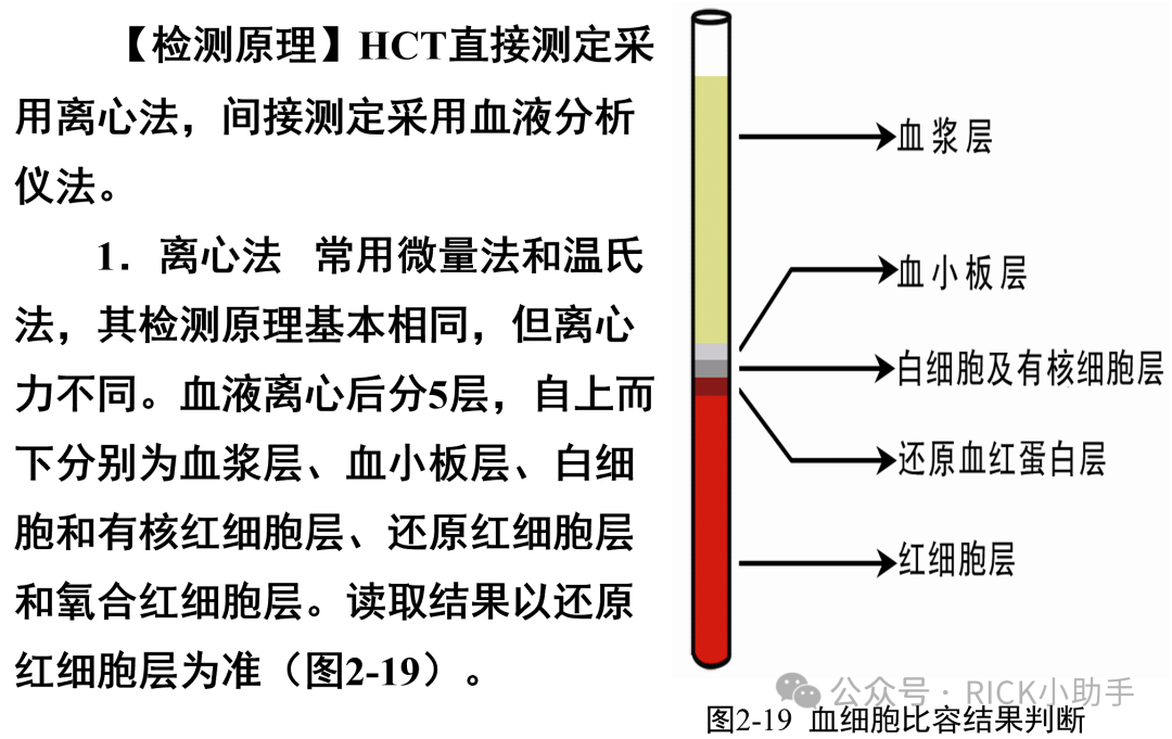 红细胞平均体积正常值是多少