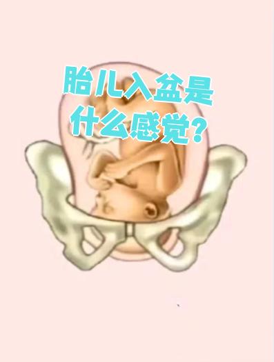 胎儿入盆是什么感觉？