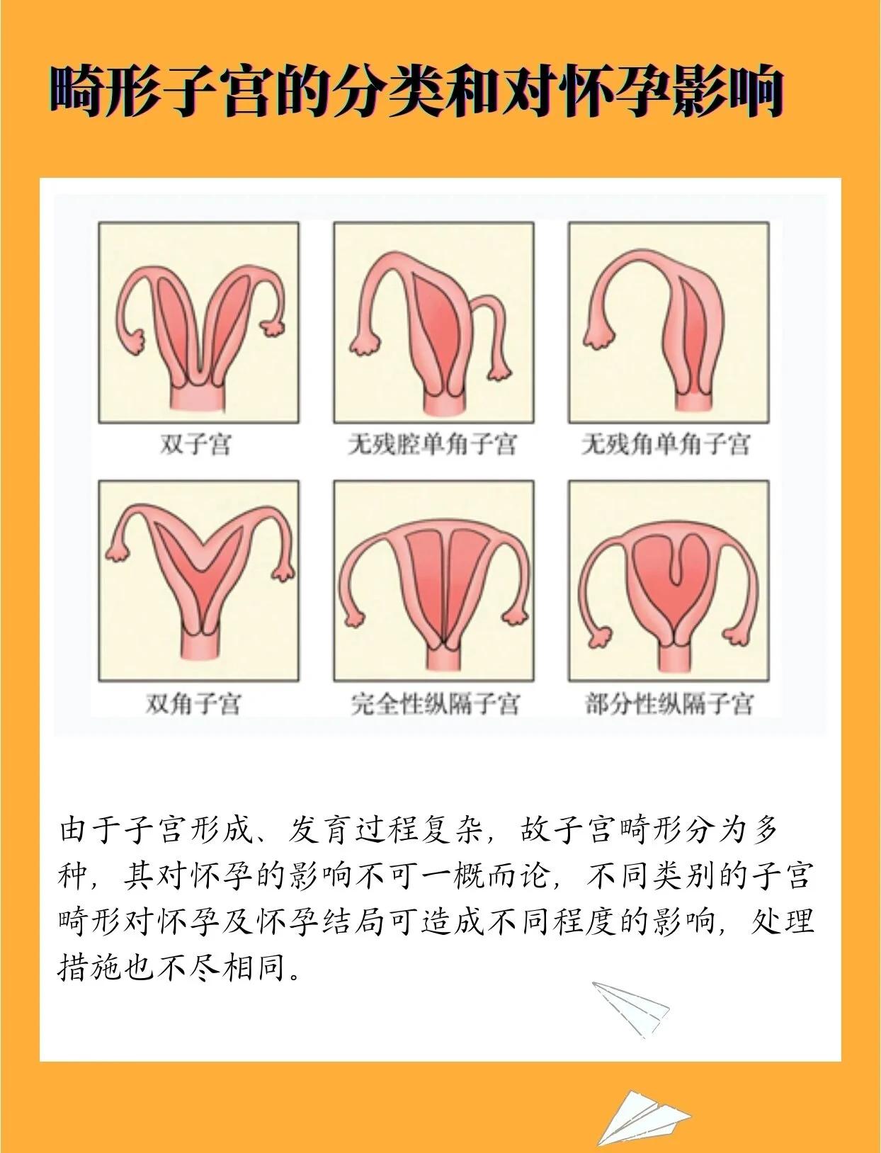 子宫正常大小范围