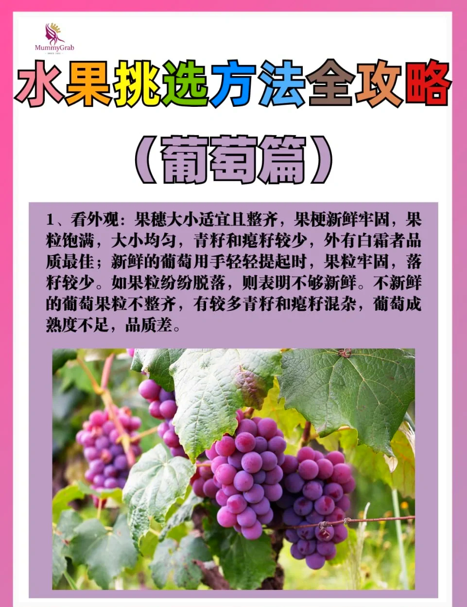 葡萄是热性还是凉性