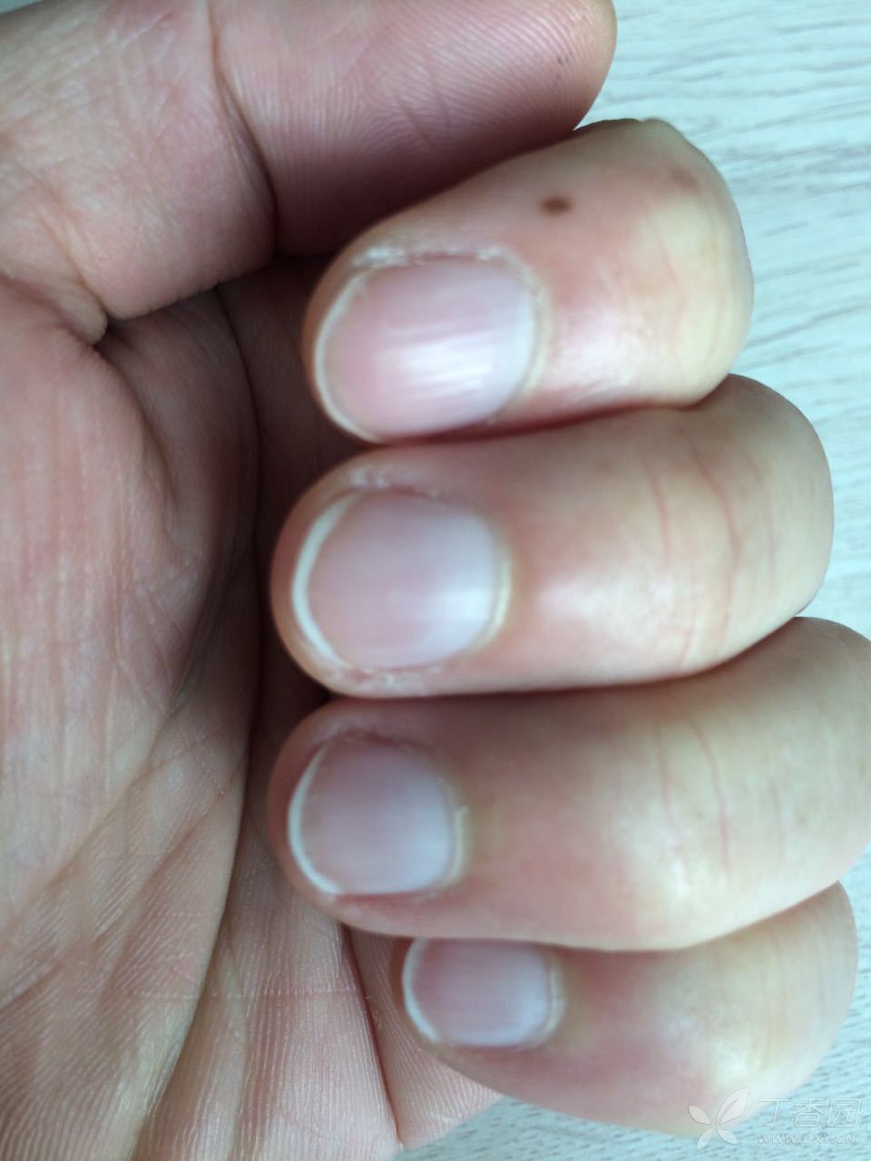 2026年1月7日 第17页