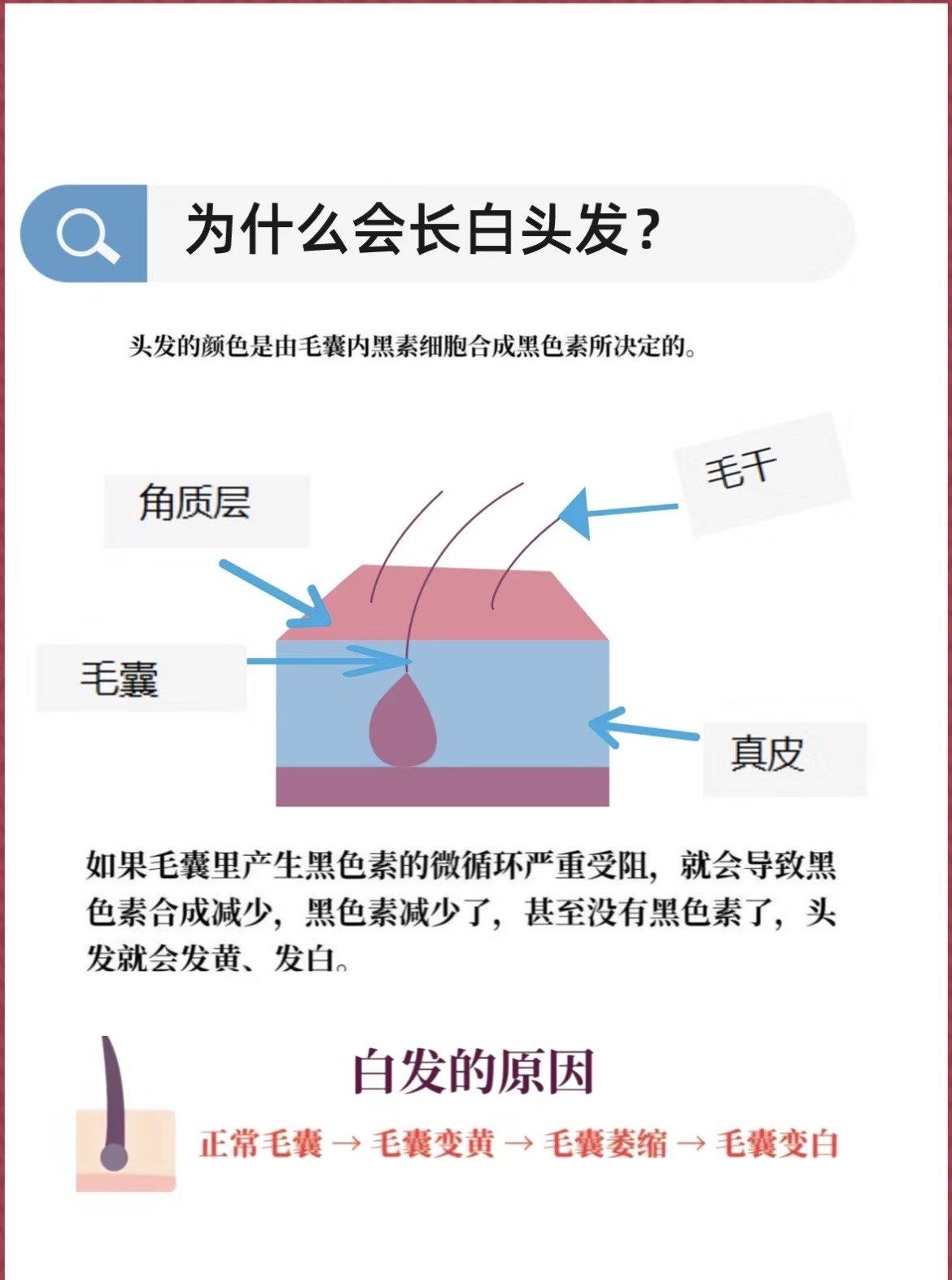 白发增多,是什么原因？