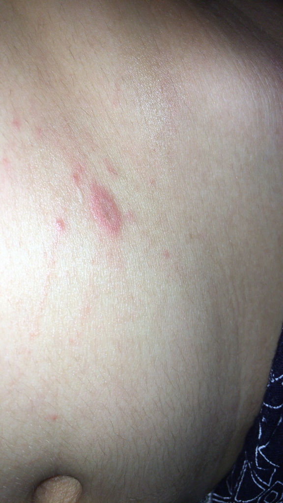 2026年1月7日 第9页