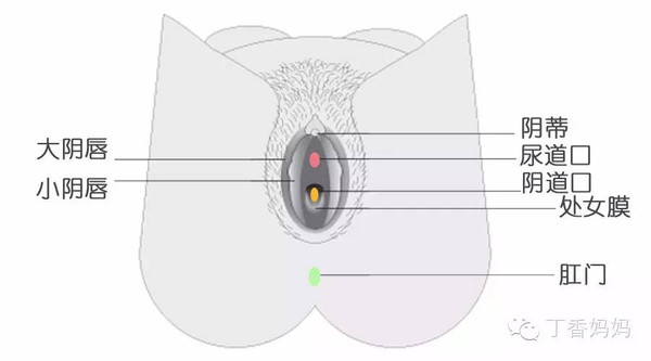 内阴道口长了很多肉疙瘩