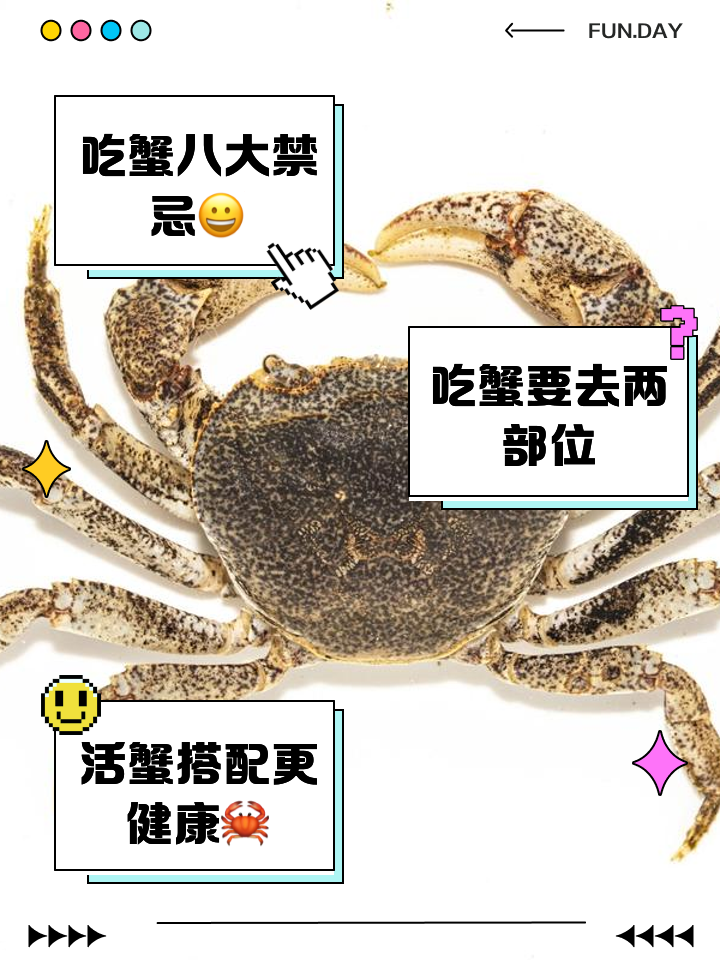 2026年1月7日 第5页