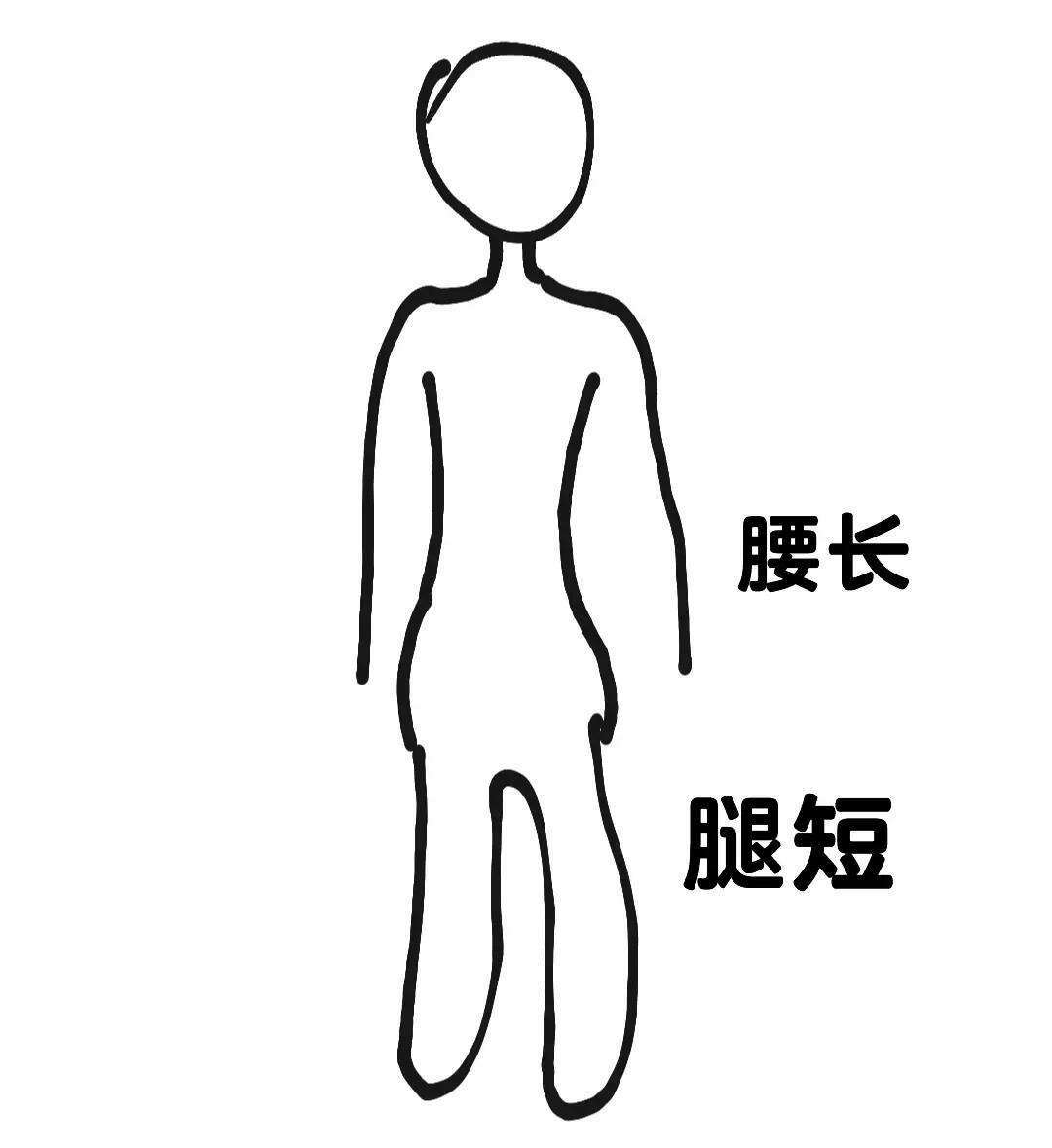 身长腿短是什么原因.