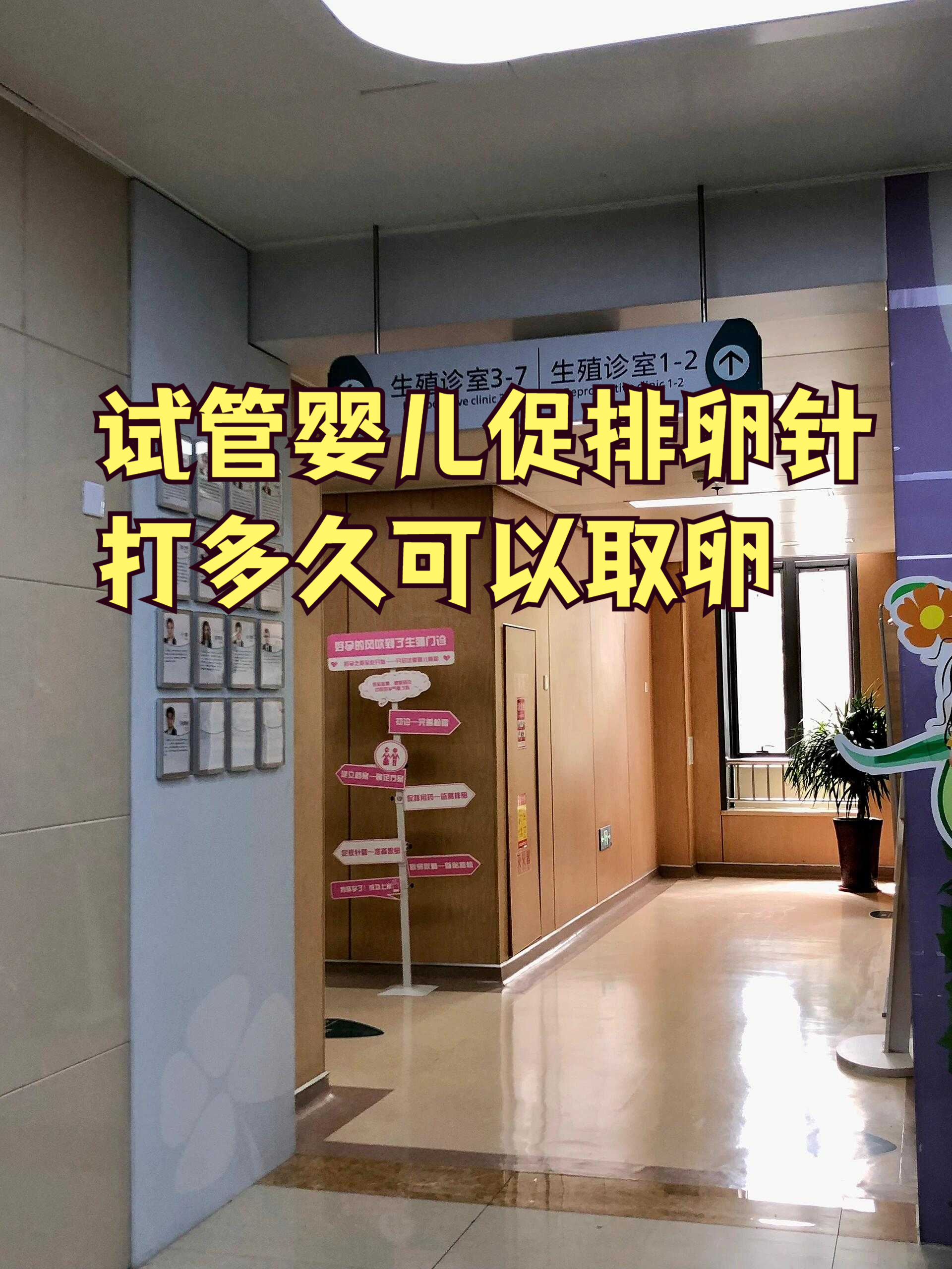 打促排卵针有副作用吗?