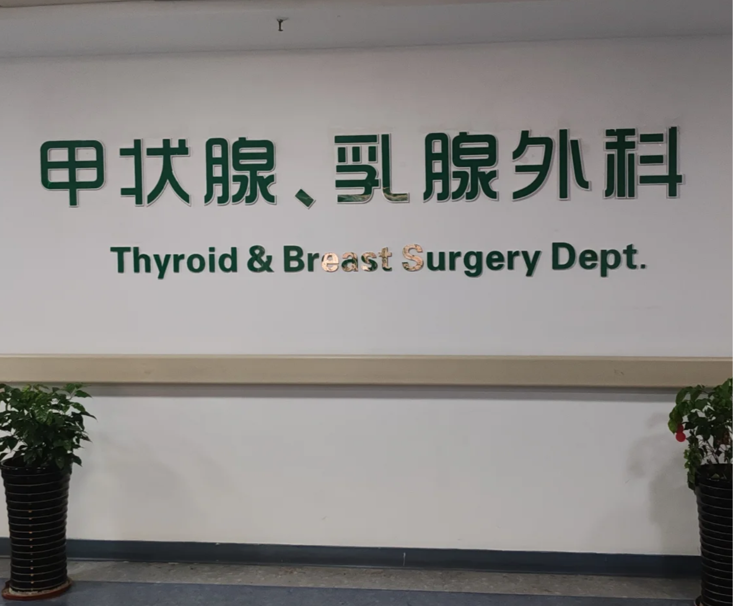 甲状腺结节挂什么科