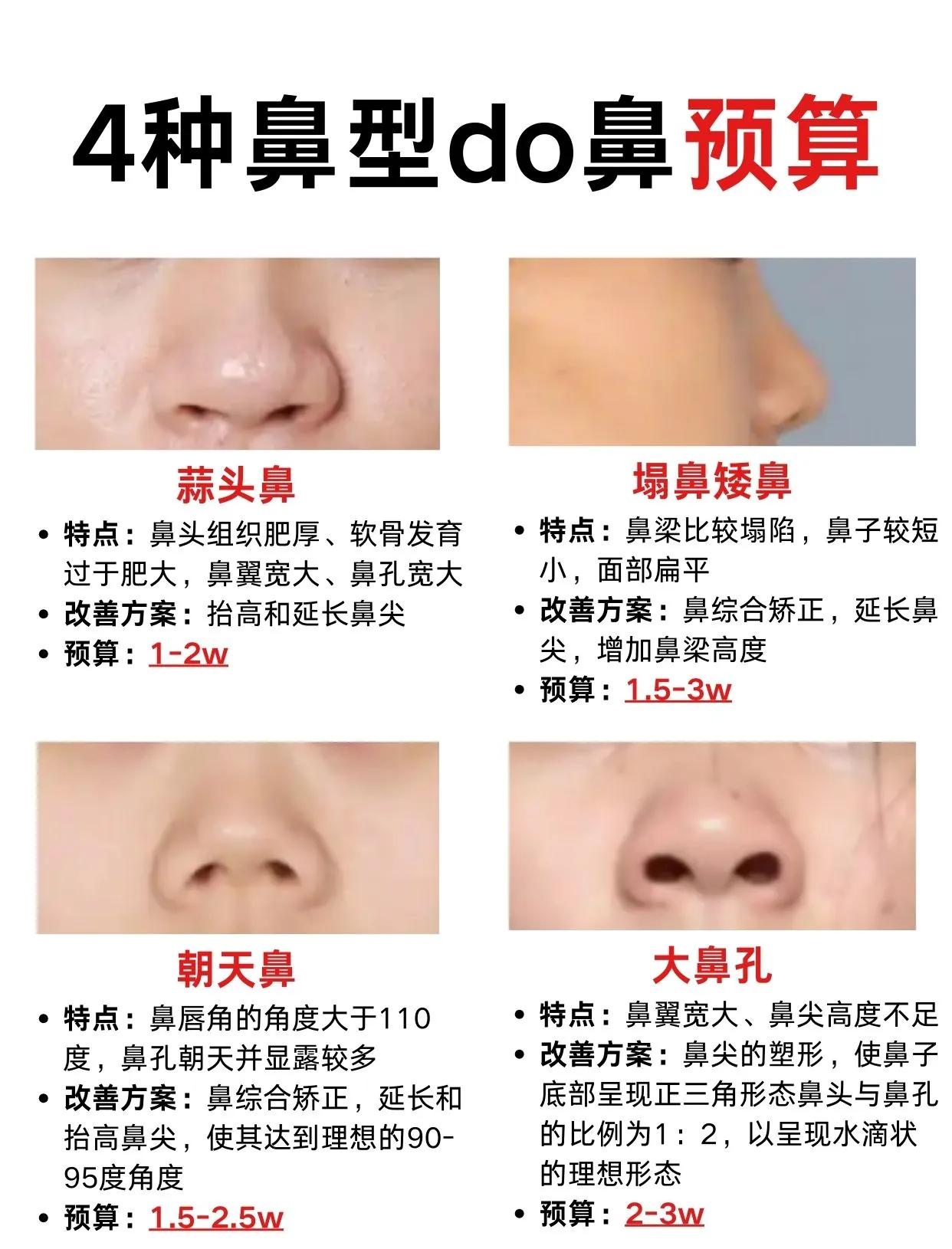 鼻综合包括哪些项目