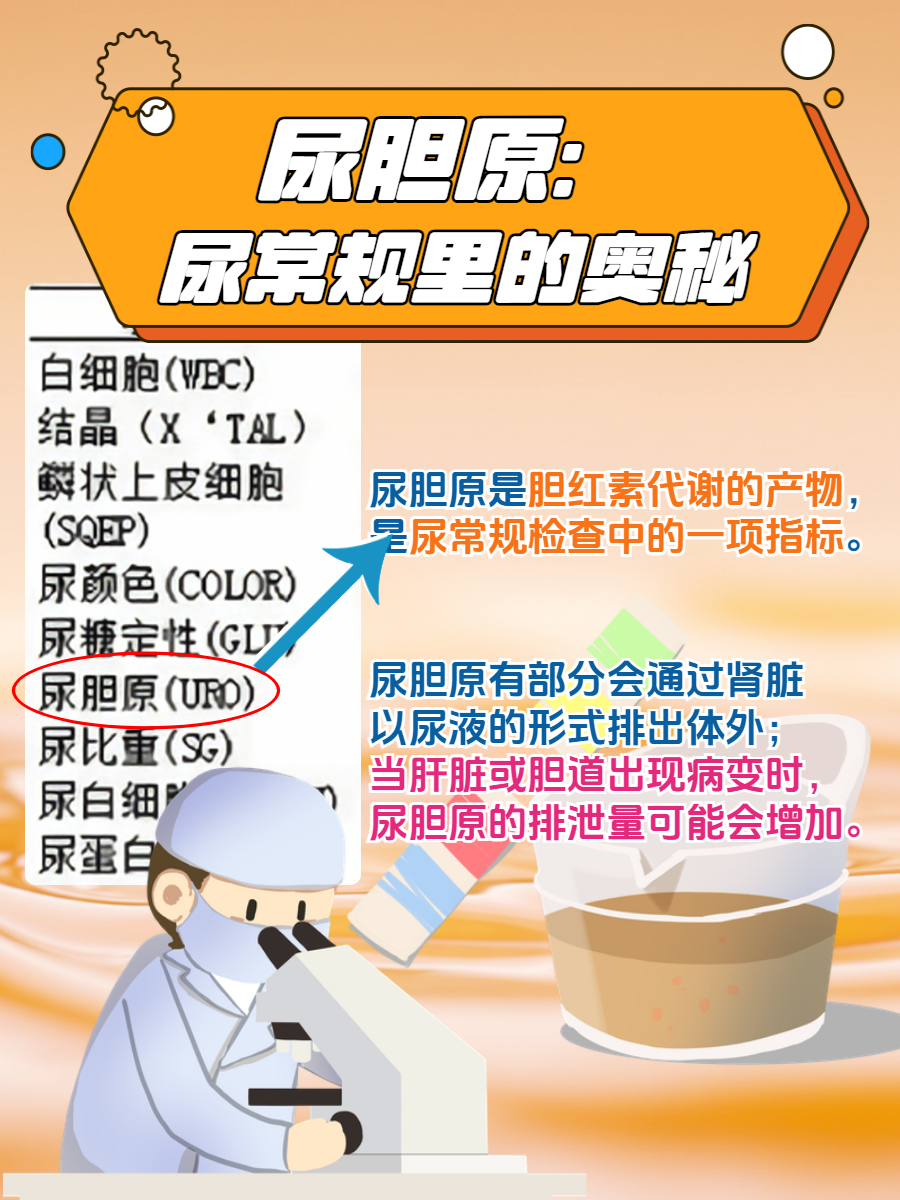 尿胆原1+是什么意思