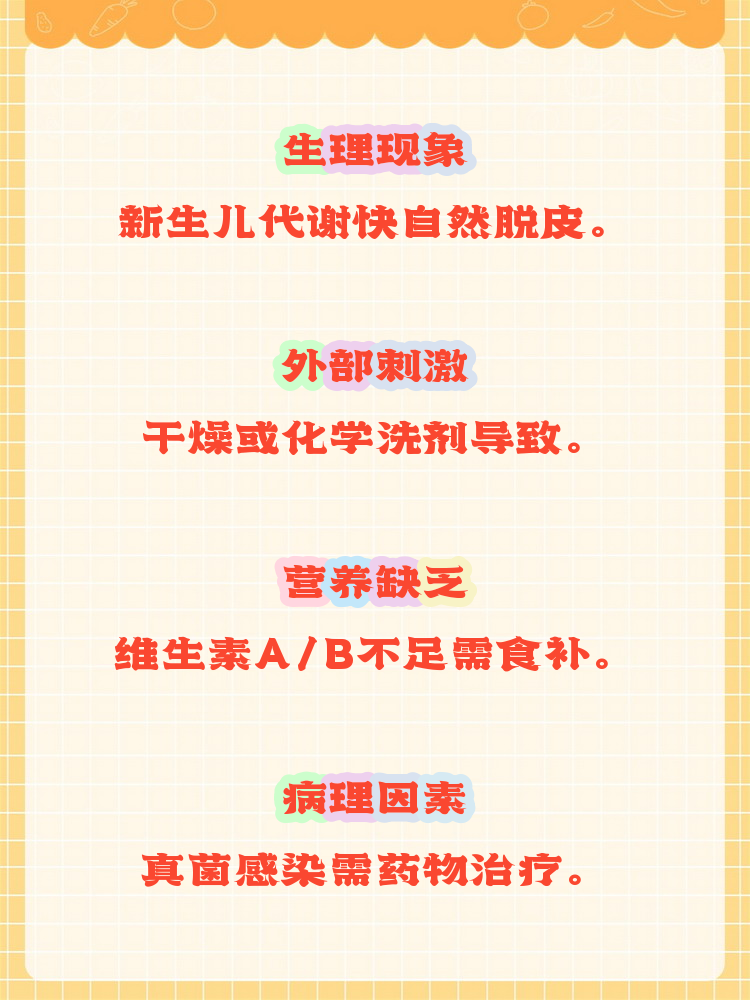 2026年1月8日 第29页