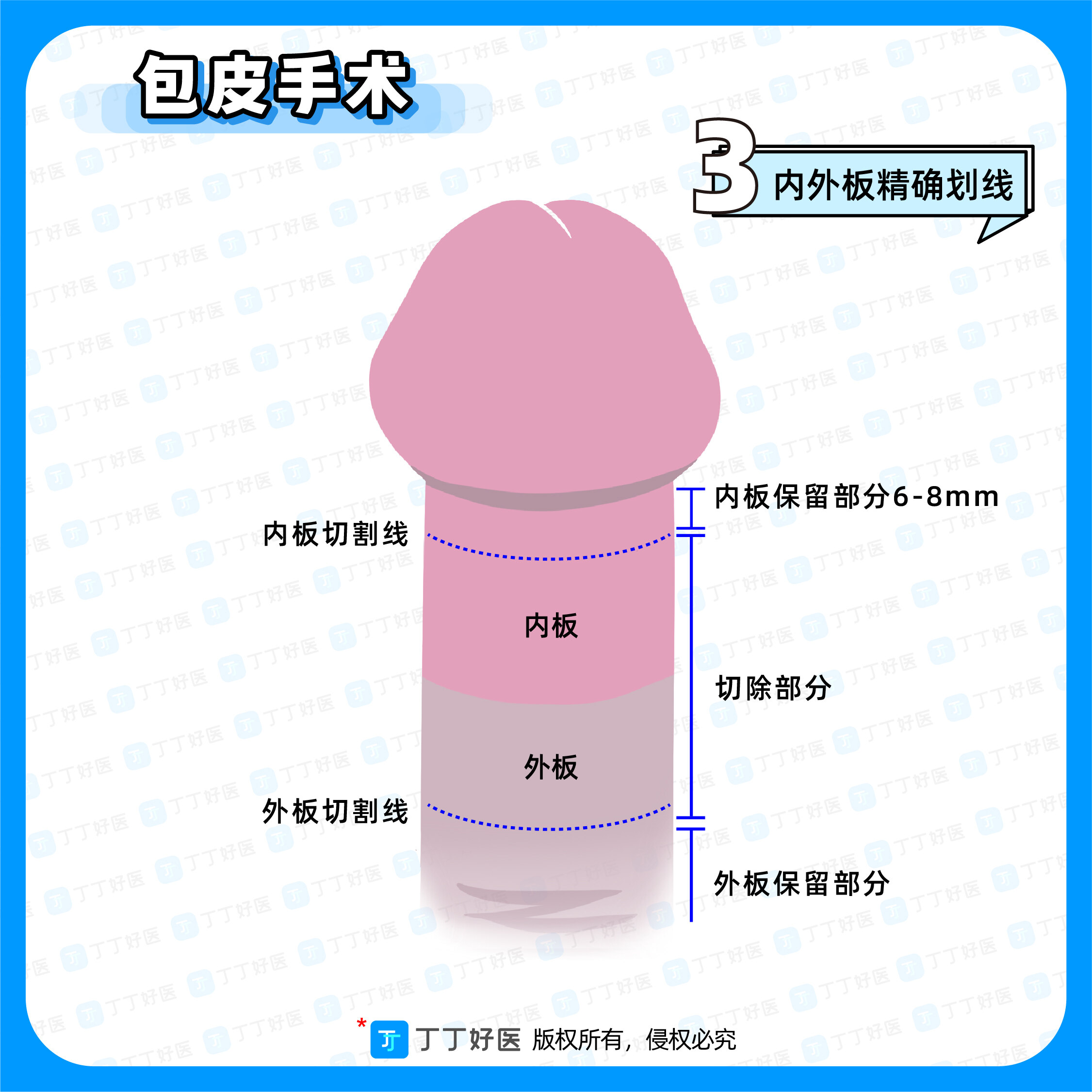 2026年1月8日 第28页