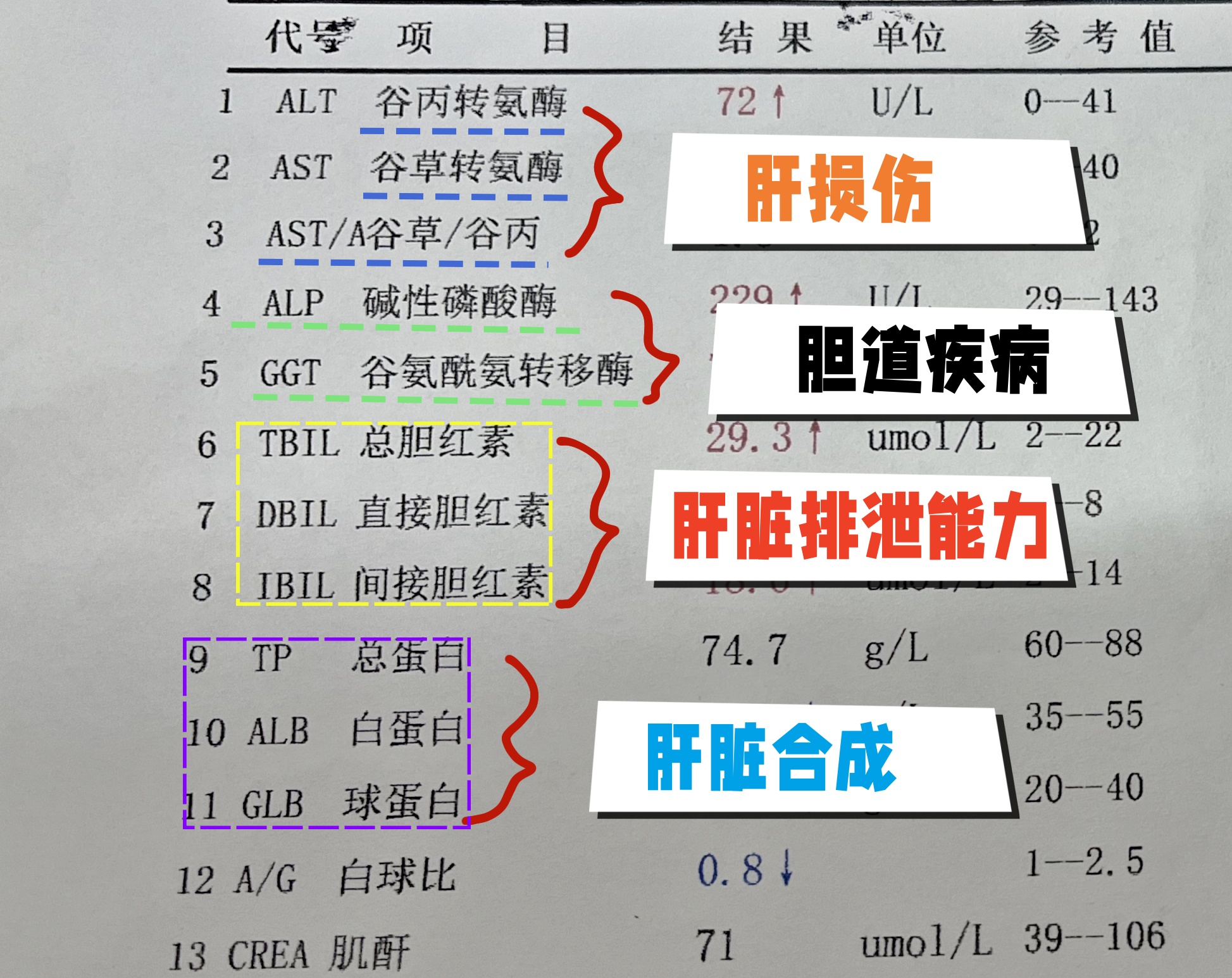 转氨酶低是什么原因造成的?