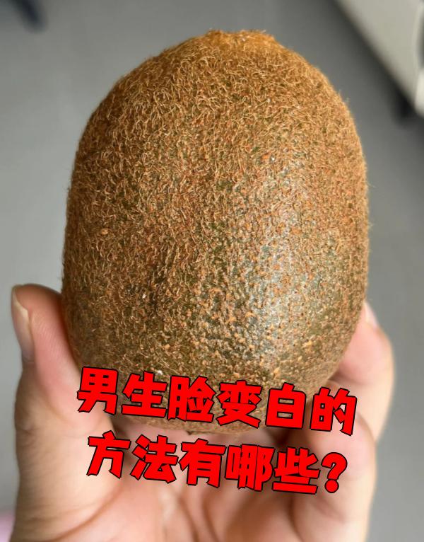 2026年1月8日 第26页