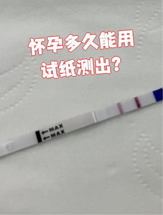试纸多长时间能测出怀孕