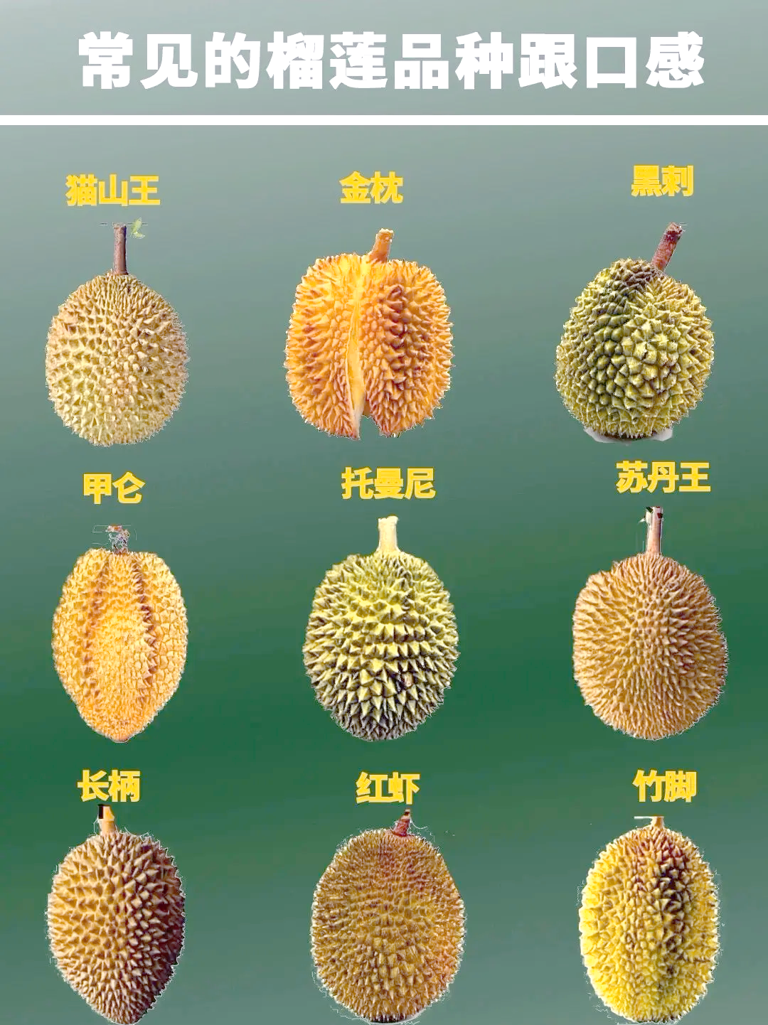 怀孕初期可以吃榴莲吗?