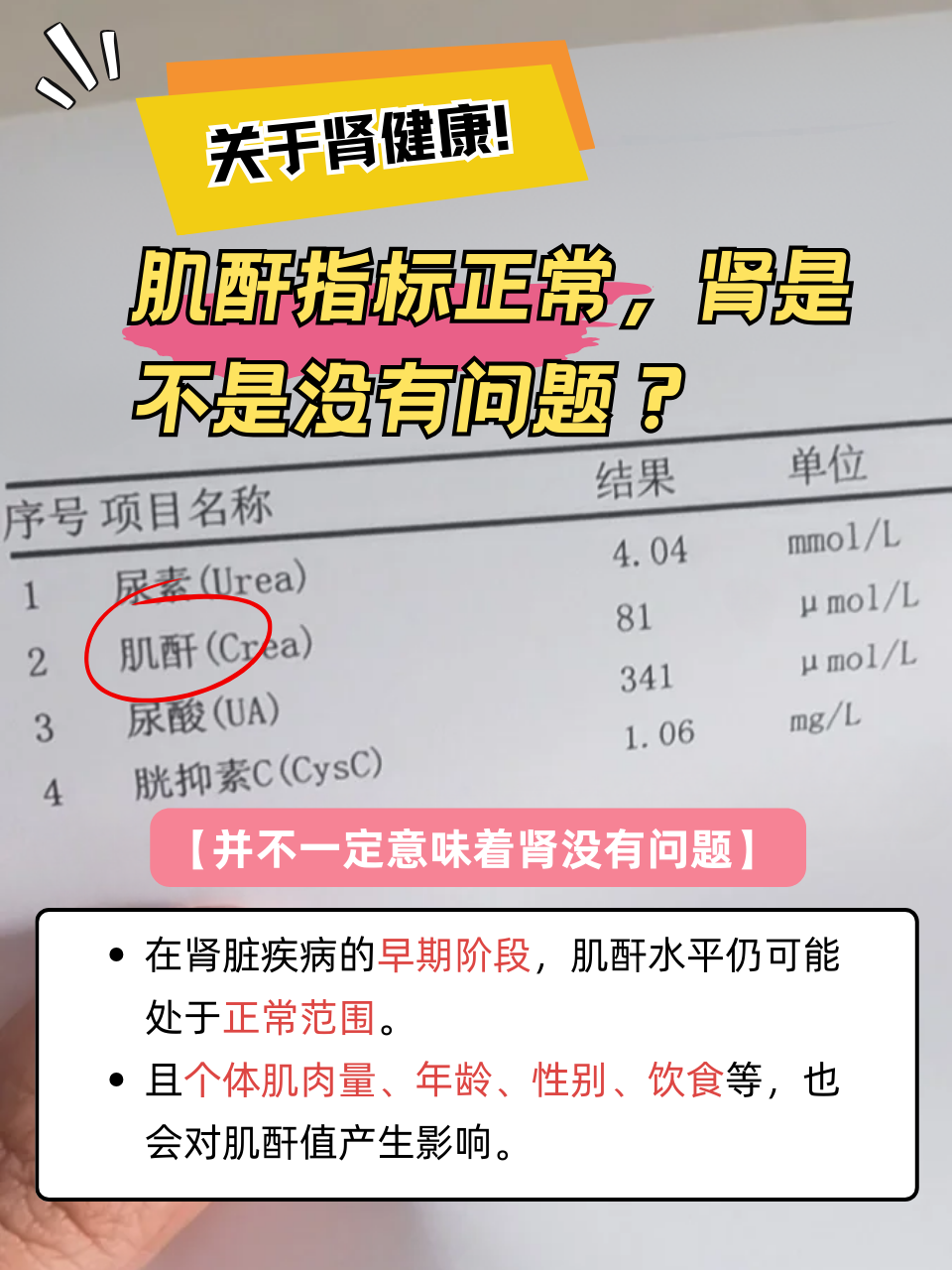 肌酐正常值是多少