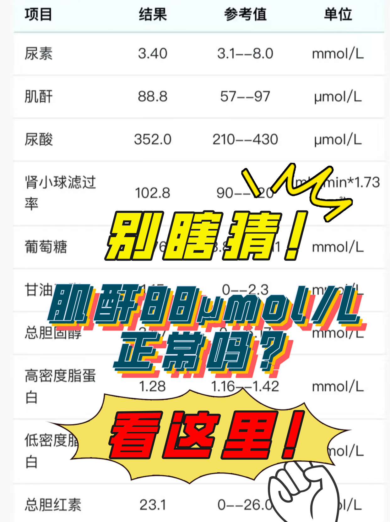 肌酐正常值是多少