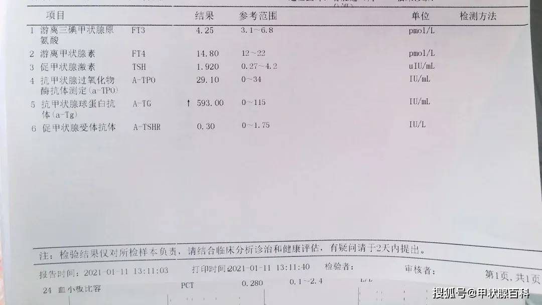 甲功三项都查什么