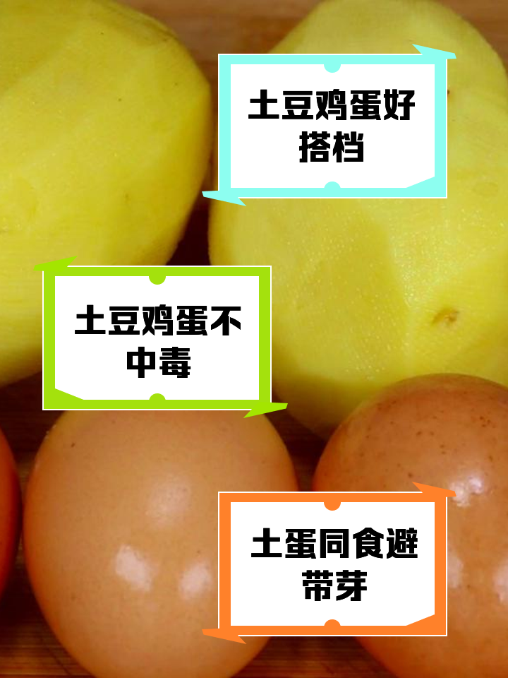 红薯和鸡蛋能一起吃吗