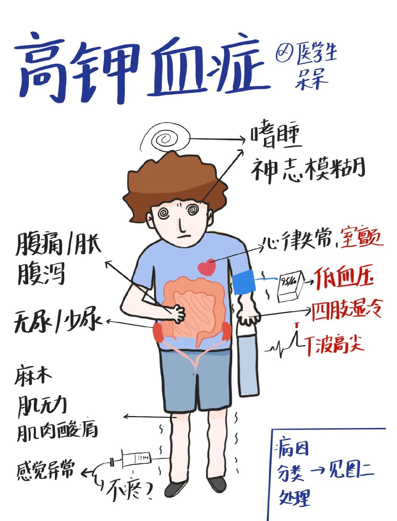 人身体缺钾是什么症状