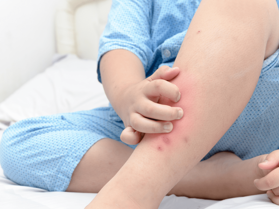 2026年1月8日 第5页