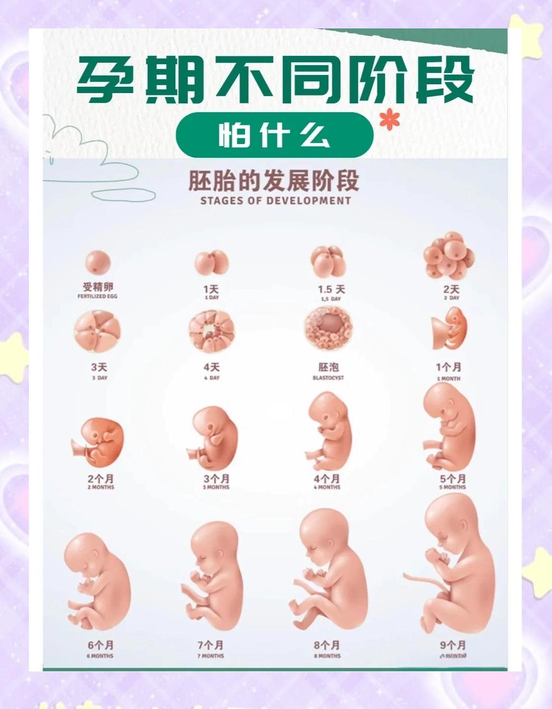 人工流产有哪些危害