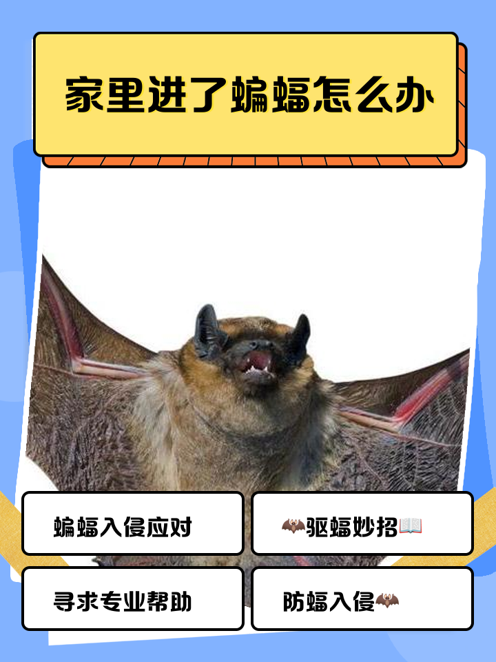 被蝙蝠咬了怎么办