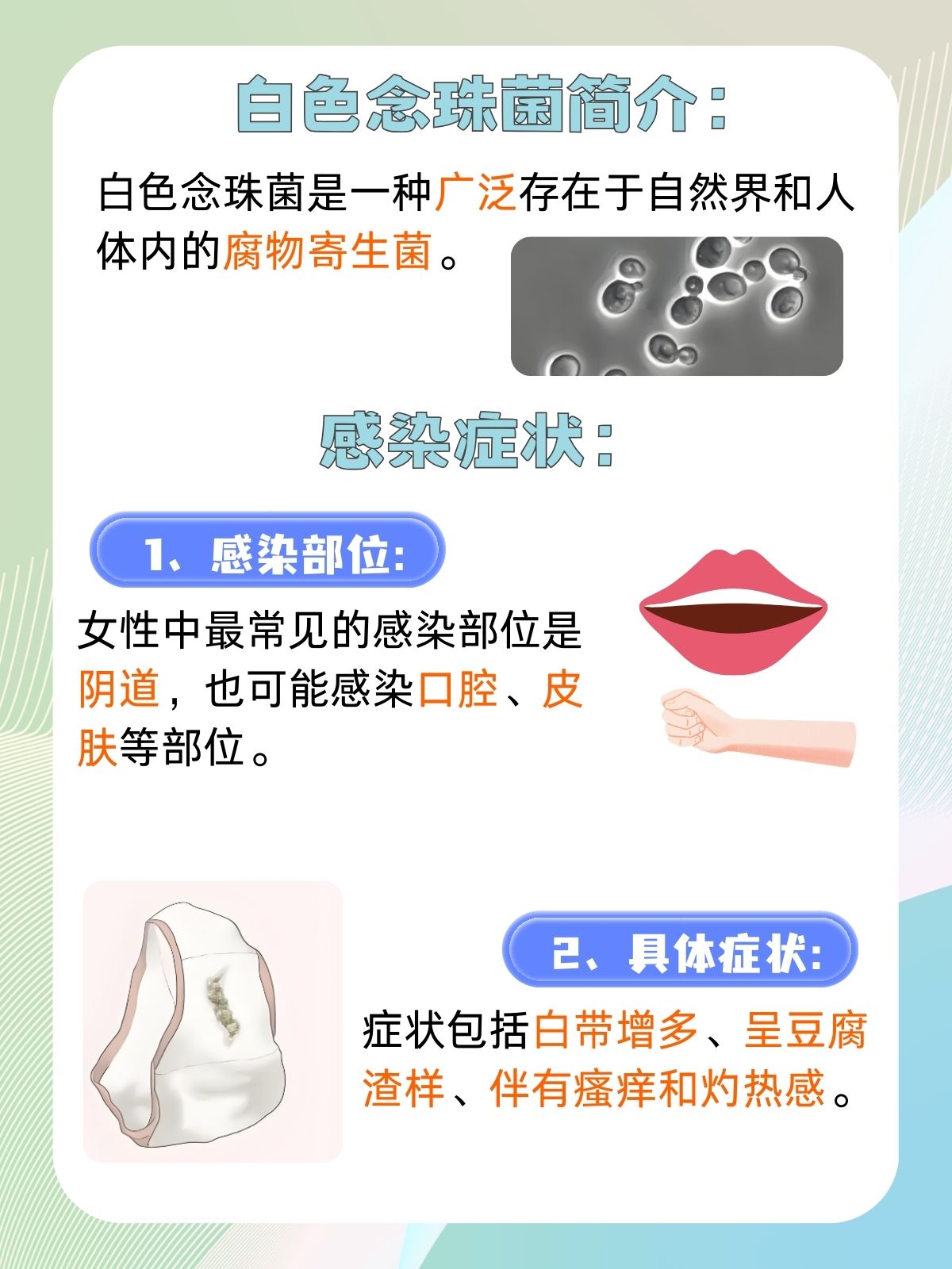 白色念珠菌是什么?