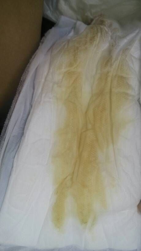 2026年1月9日 第29页