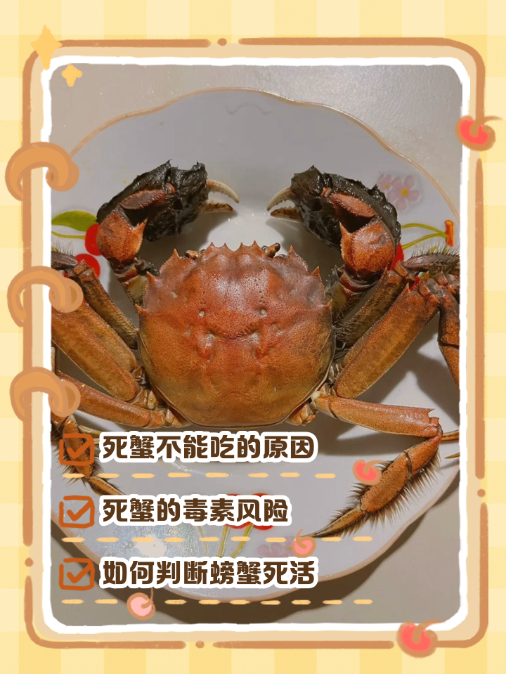 2026年1月9日 第27页