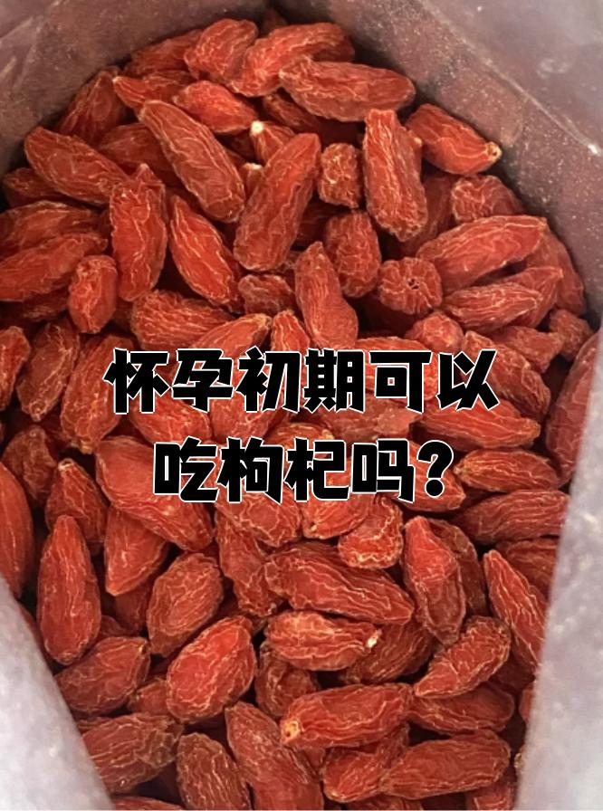 孕妇能吃枸杞子吗