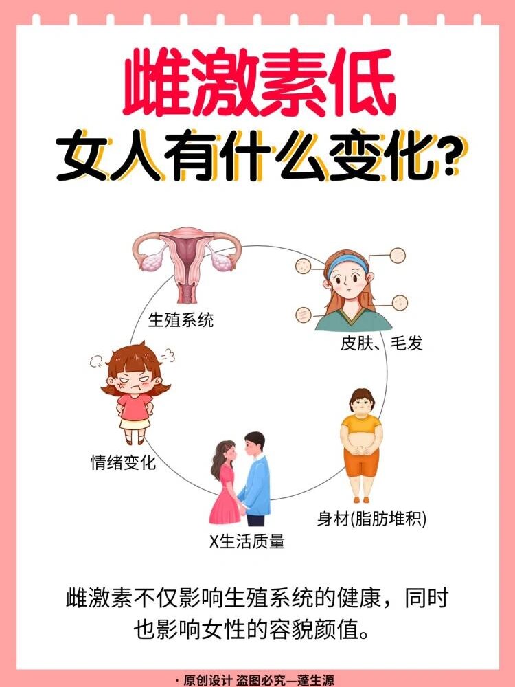 雌激素高的原因