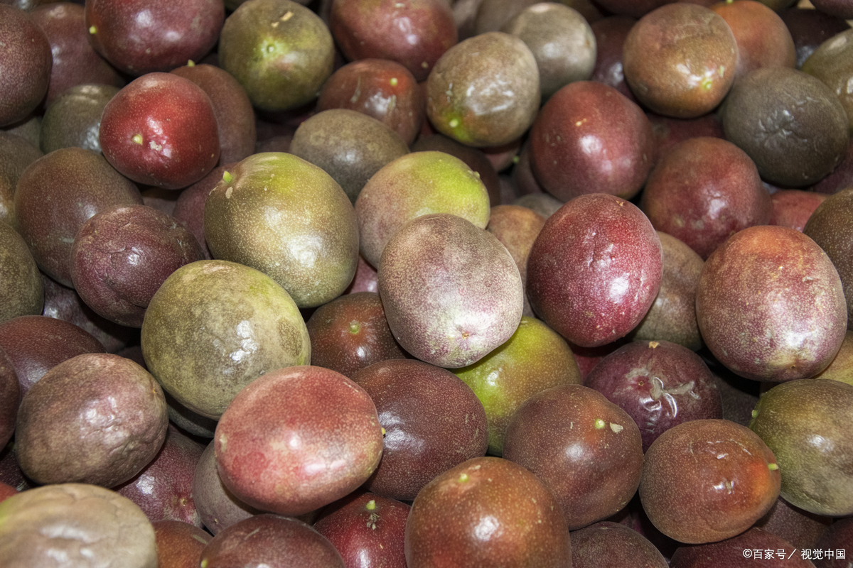 孕妇能吃百香果吗