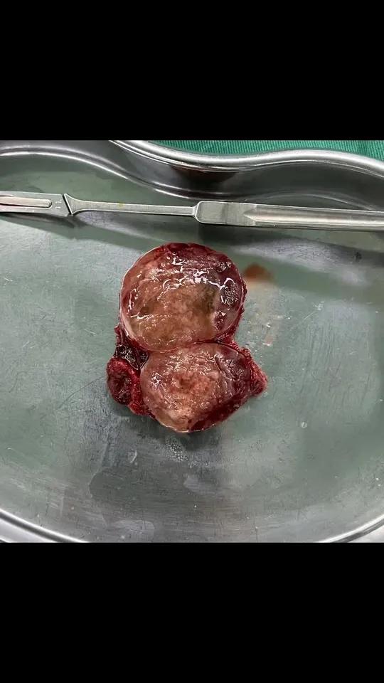 2026年1月10日 第38页