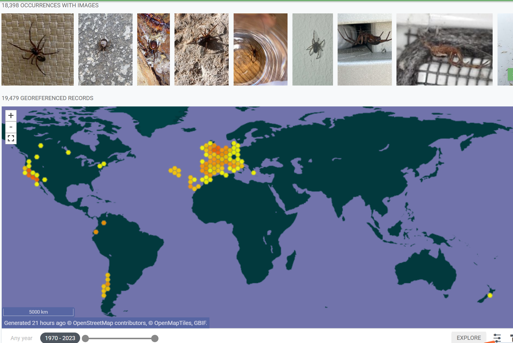 蜘蛛在睡觉得房间里会趁人睡觉咬人吗