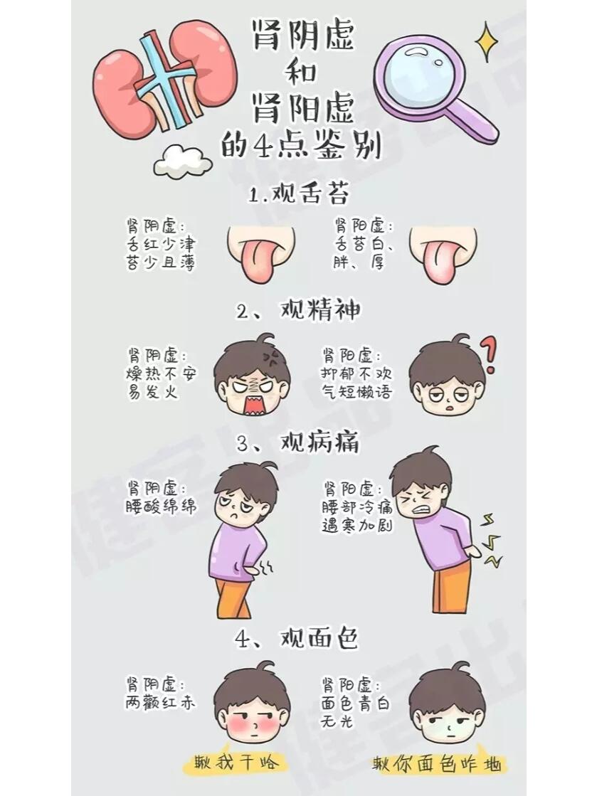 阳虚阴虚怎么区分