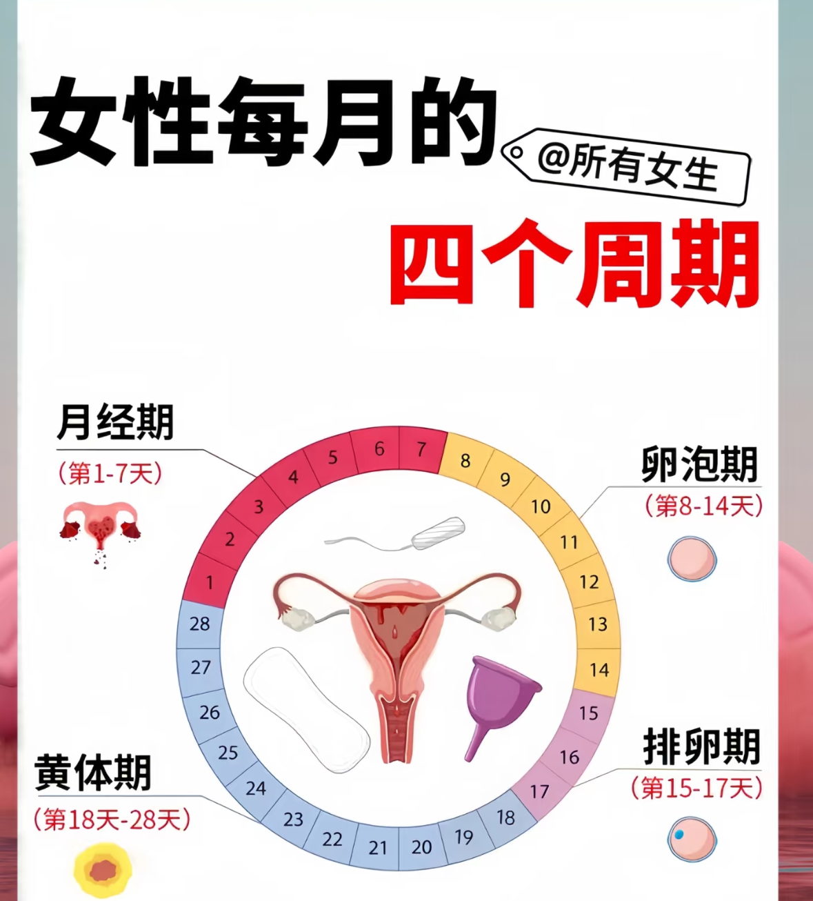 排卵期一般是在什么时候