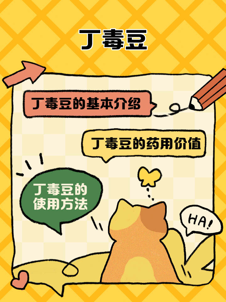 请问丁毒豆长什么样它有什么药用价值