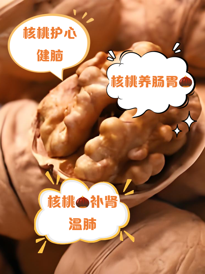 核桃仁的功效与作用?