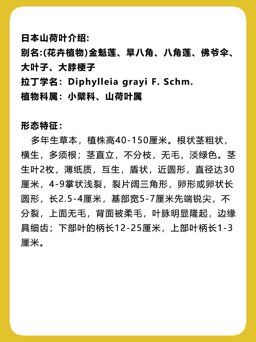 荷叶的功效与作用